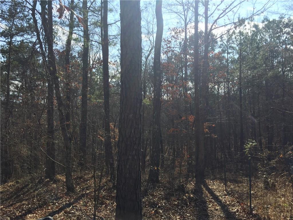 Lot 6 John Walraven Road Dallas, GA 30132 - Photo 1 of 1 Gallery Image 1