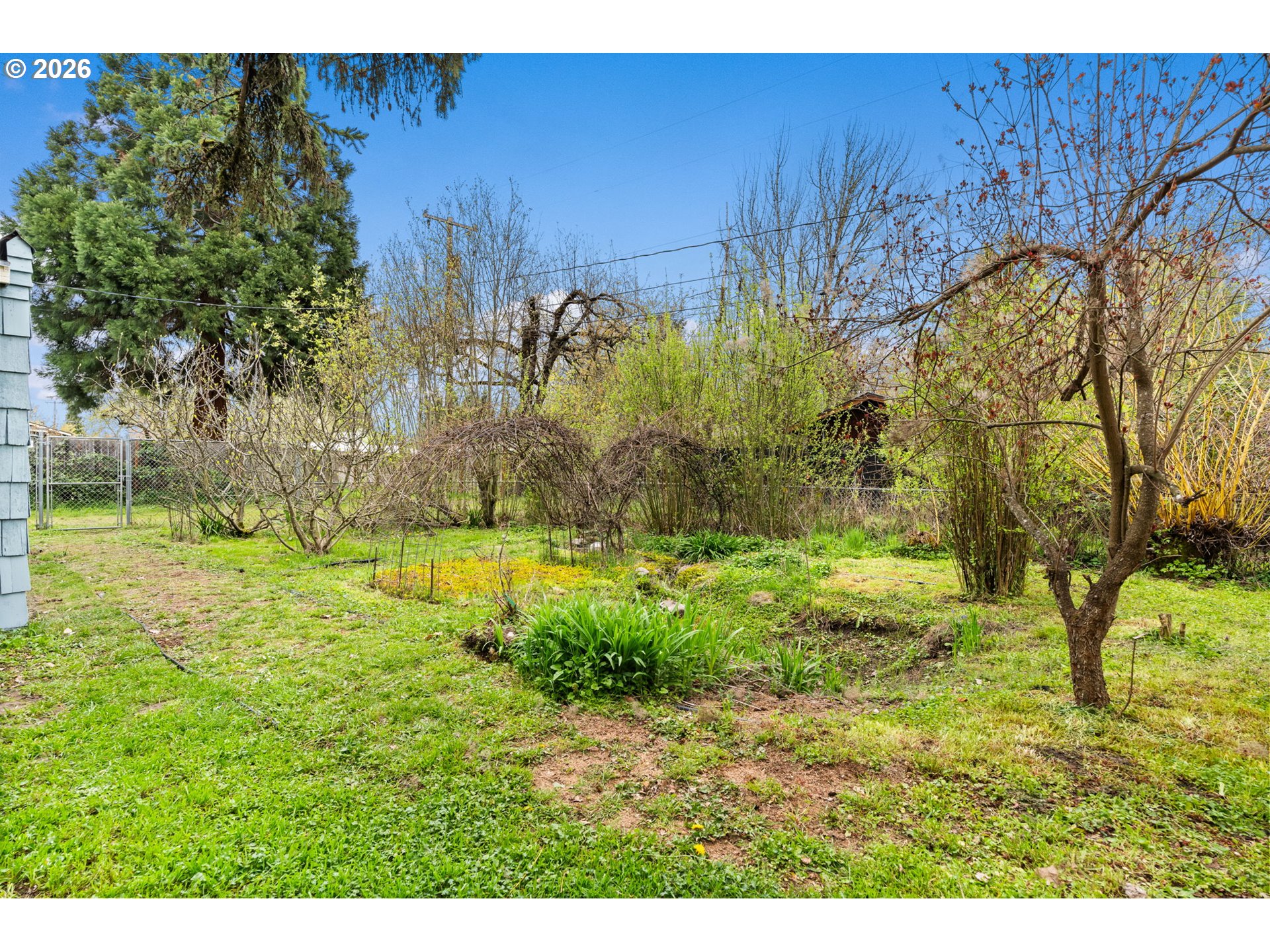 West 15th Avenue Eugene, OR 97402 - Photo 7 of 13