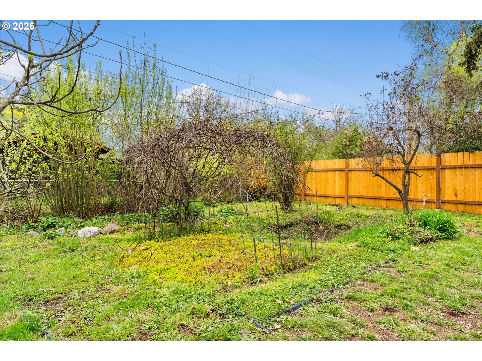 West 15th Avenue Eugene, OR 97402 - Photo 9 of 13