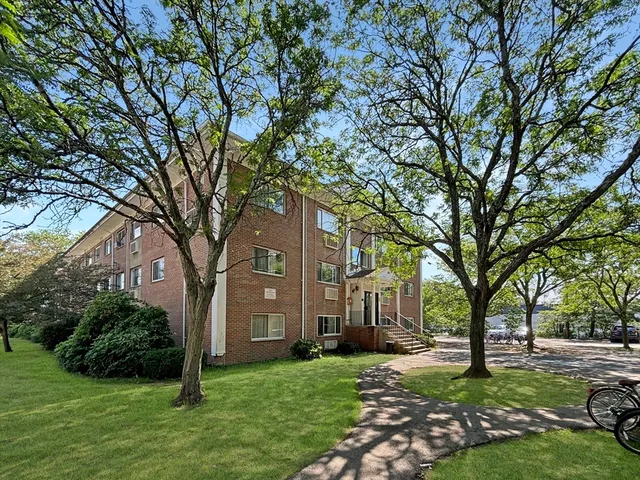 a tree in front of a brick house with a large tree