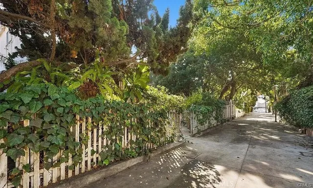 a view of outdoor space with a potted plant