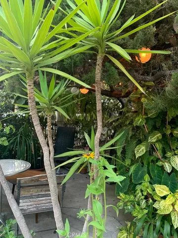 a view of a entrance gate of the house and trees