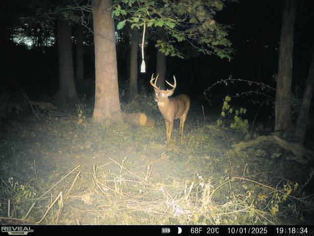 0 Lycurgus Road Waukon, IA 52172 - Photo 14 of 24 Gallery Image 14