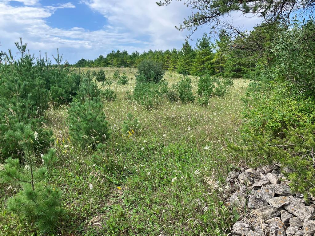 East) Wildwood Road Sister Bay, WI 54234 - Photo 1 of 7