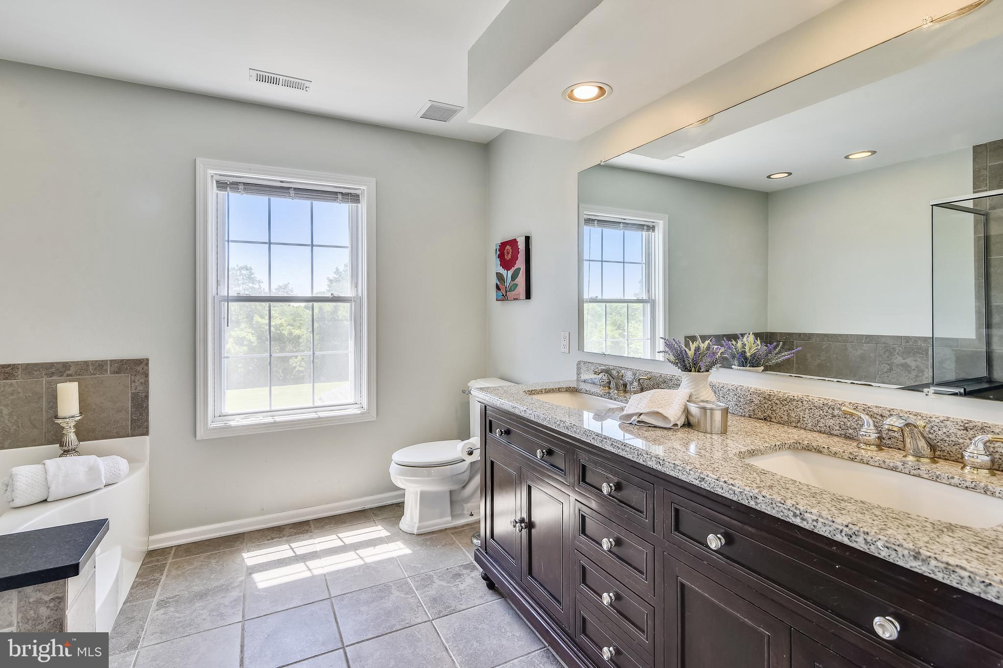 34383 Williams Gap Road Round Hill, VA 20141 - Photo 43 of 103 Master Bath