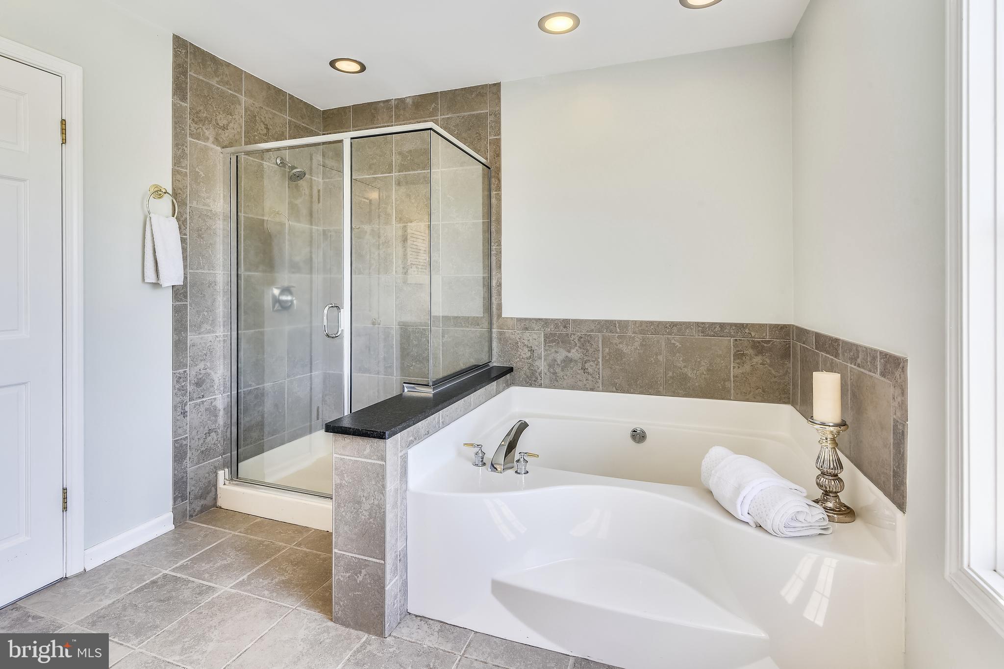 34383 Williams Gap Road Round Hill, VA 20141 - Photo 44 of 103 Master Bath Shower and separate Soaking Tub