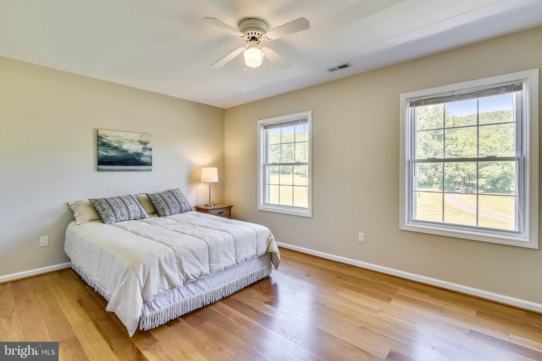 34383 Williams Gap Road Round Hill, VA 20141 - Photo 46 of 103 Large Front Guest Bedroom