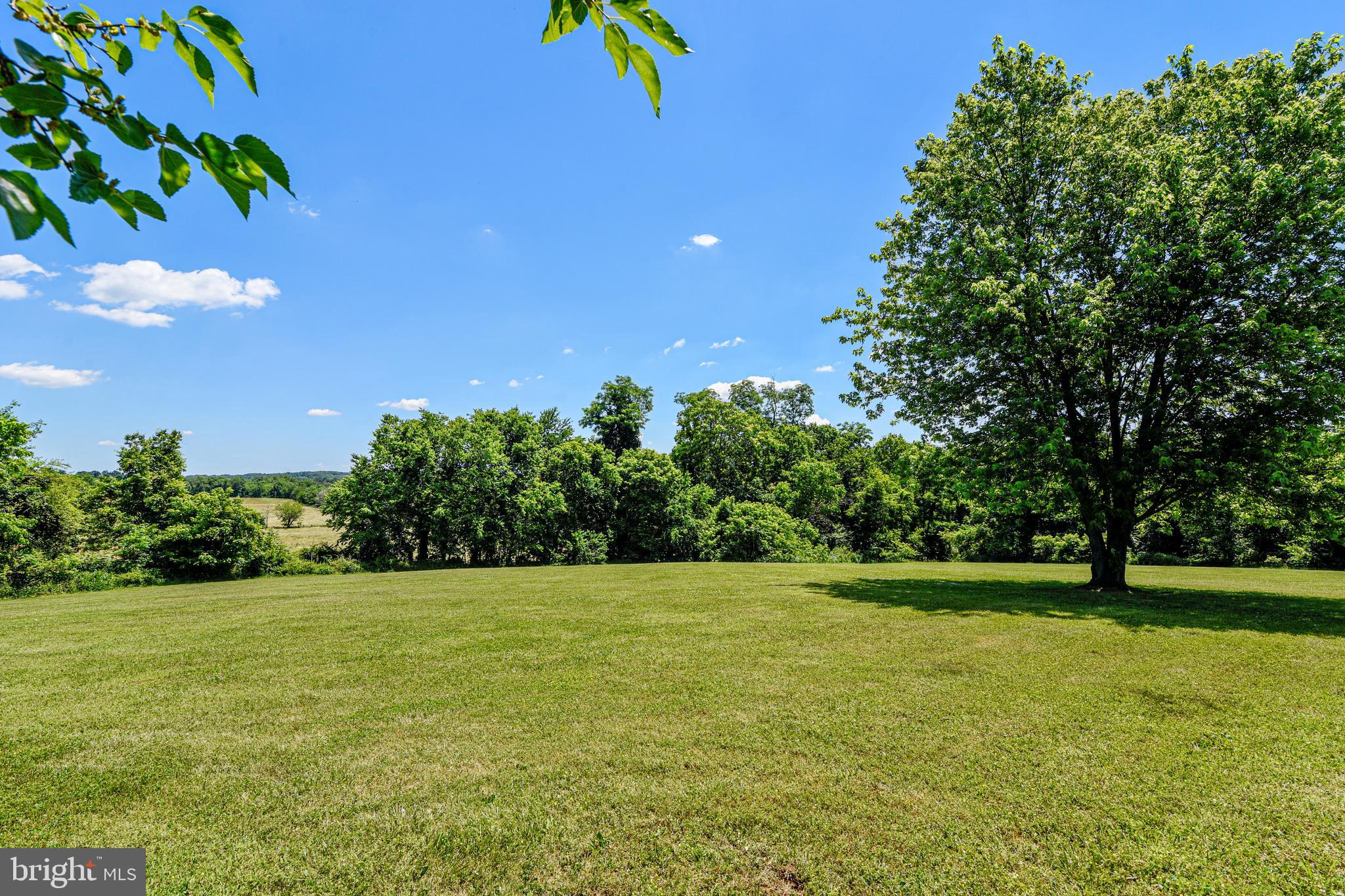34383 Williams Gap Road Round Hill, VA 20141 - Photo 81 of 103 Gallery Image 81