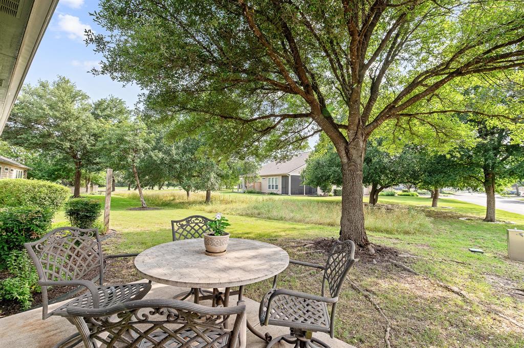 109 Providence Street Georgetown, TX 78633 - Photo 28 of 31 a view of a backyard with table and chairs potted plants and large tree