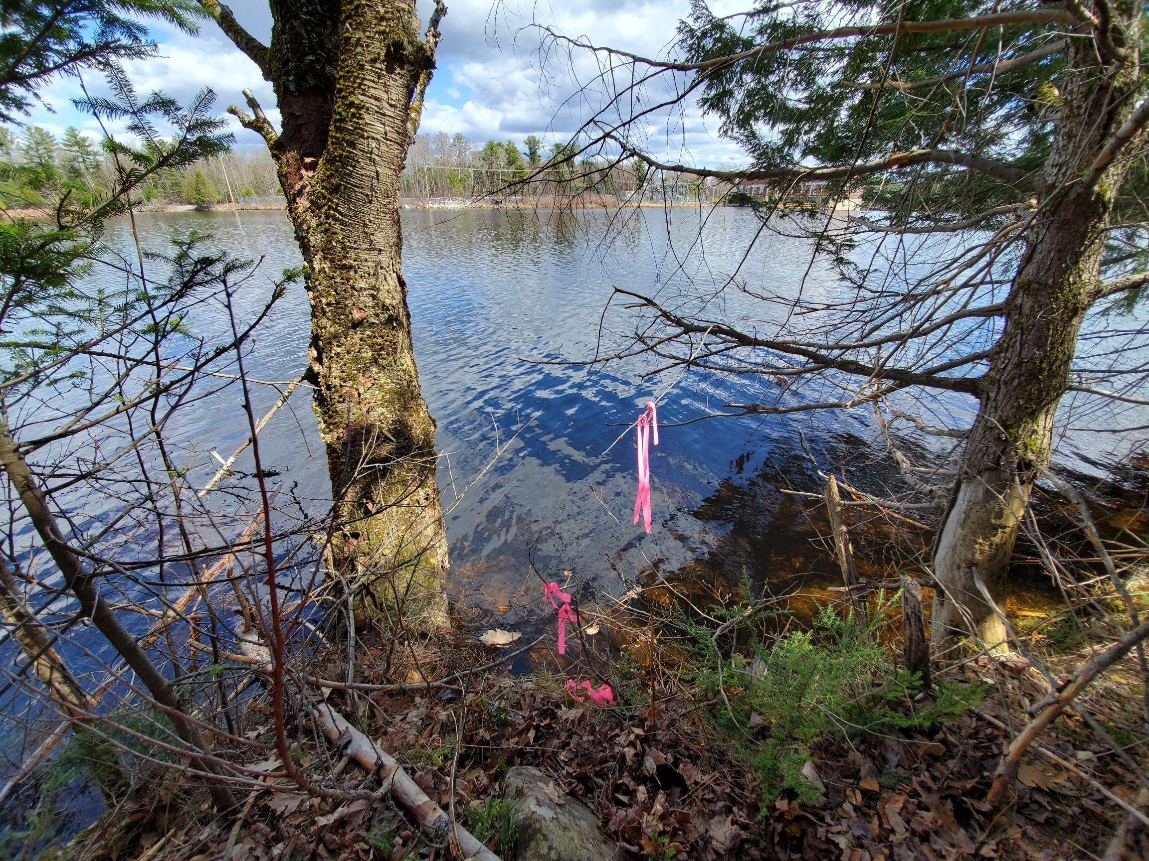 67 Powersville Road Medway, ME 04460 - Photo 2 of 55 Fntg along river