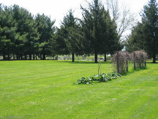 9668 Cunningham Road Winnebago, IL 61088 - Photo 3 of 6 a view of a park with large trees