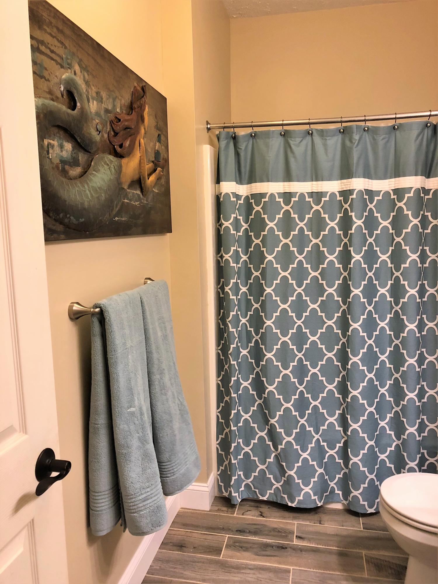 839 Morewood Road Hardy, VA 24101 - Photo 36 of 64 Hall Bath