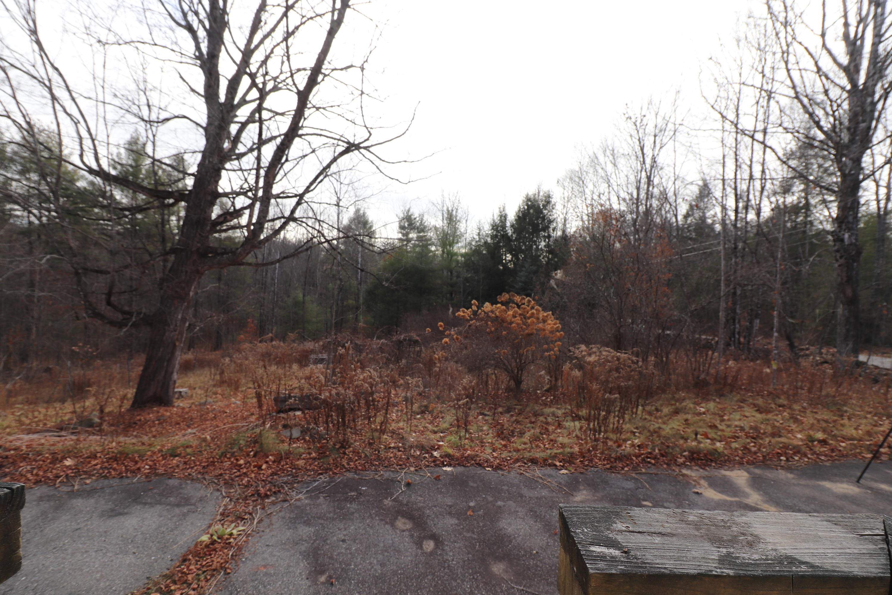 168 Fosterville Road Bridgton, ME 04009 - Photo 16 of 56 IMG_0539