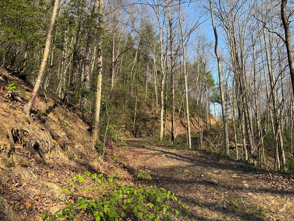 Lot 5 Huffman Creek Road Robbinsville, NC 28771 - Photo 2 of 13