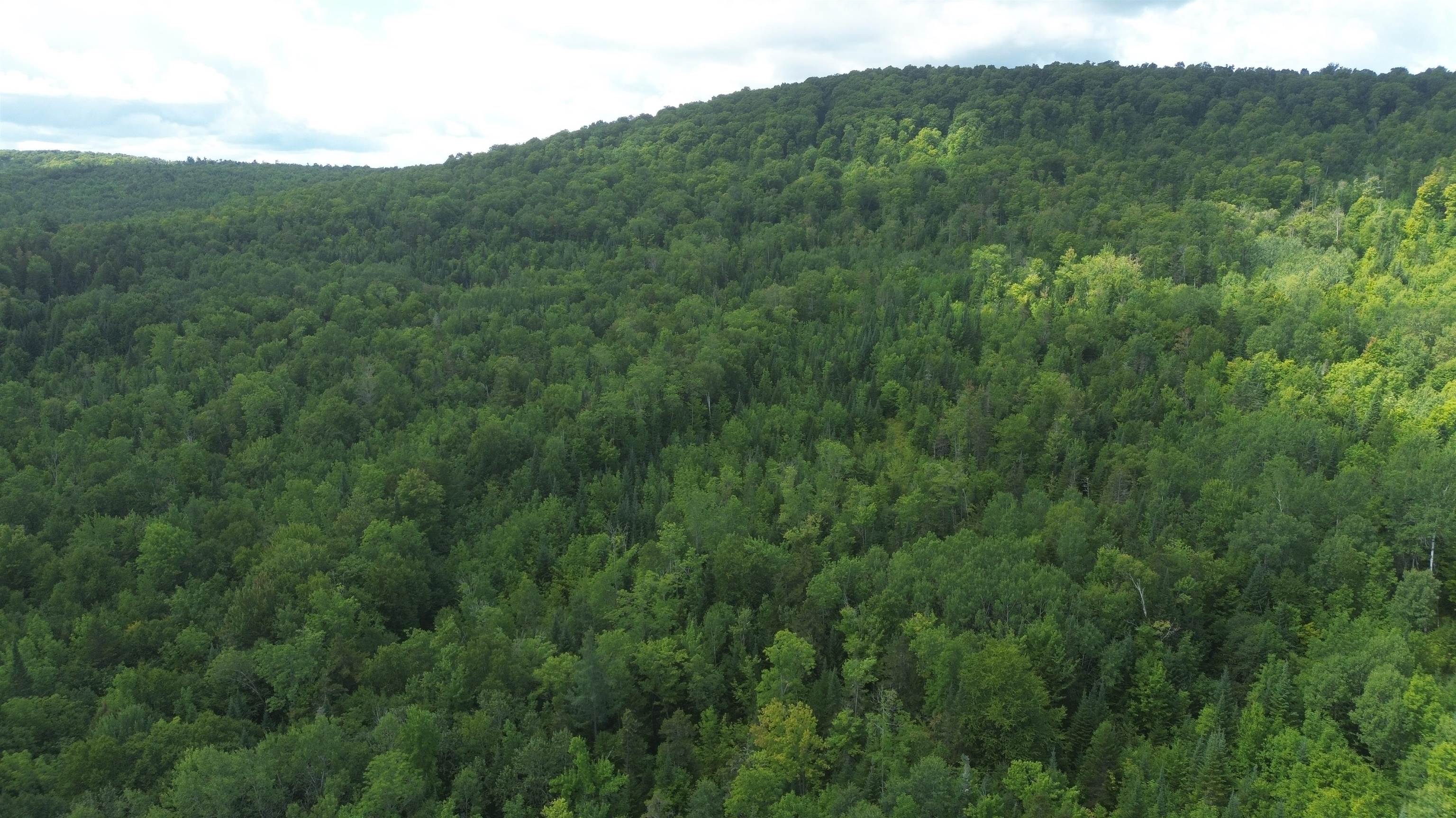 0 Old Pond Hill Road Lunenburg, VT 05906 - Photo 60 of 60 Gallery Image 60