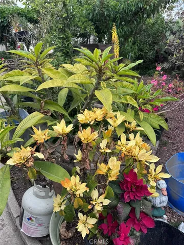 $775,000 | 7881 Franklin Street, Buena Park, CA 90621