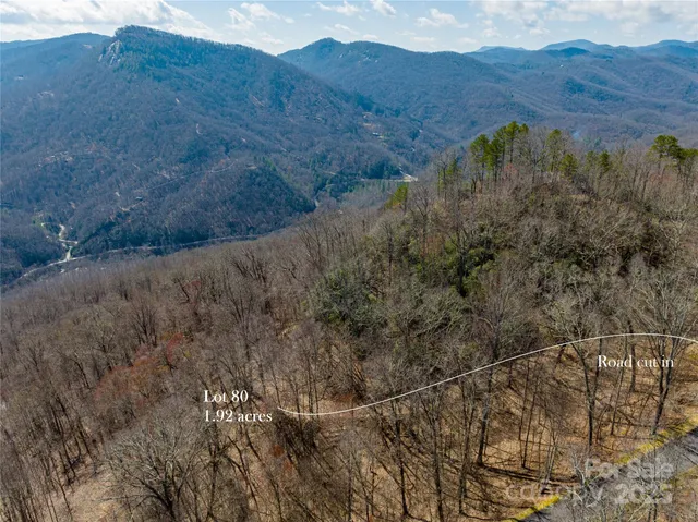 a view of a dry yard