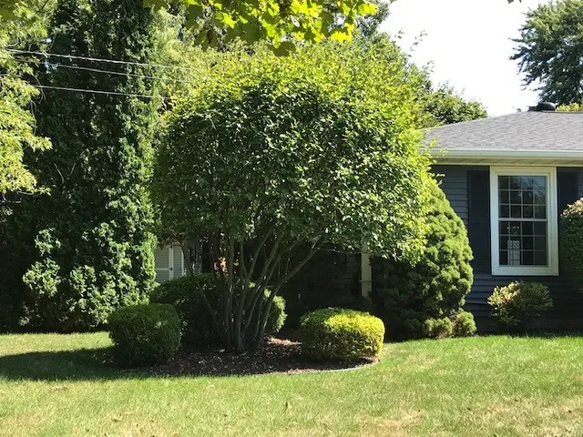 $325,000 | 9 Jefferson Avenue, Le Roy, NY 14482