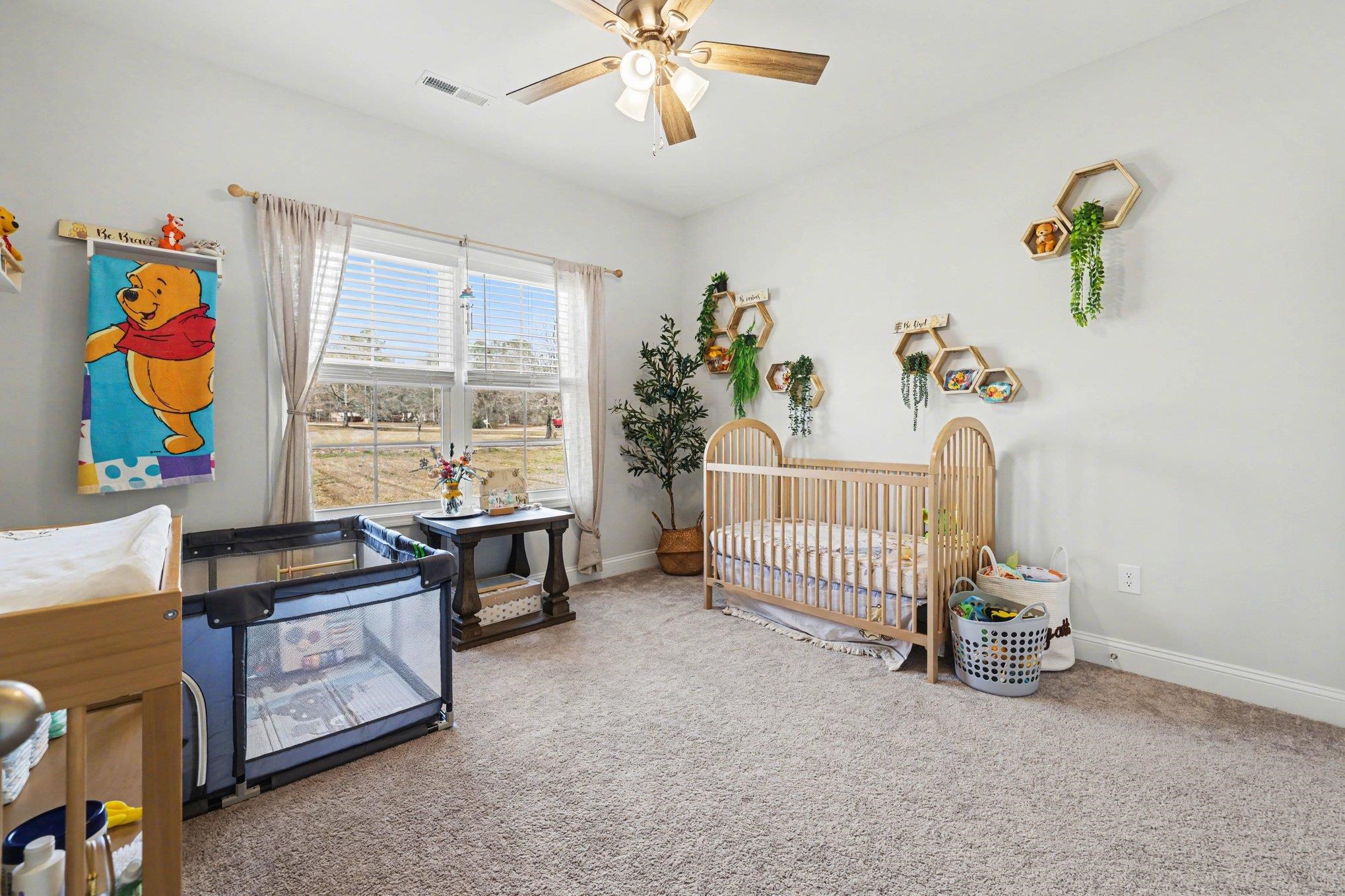 228 William Nobles Road Aynor, SC 29511 - Photo 24 of 34