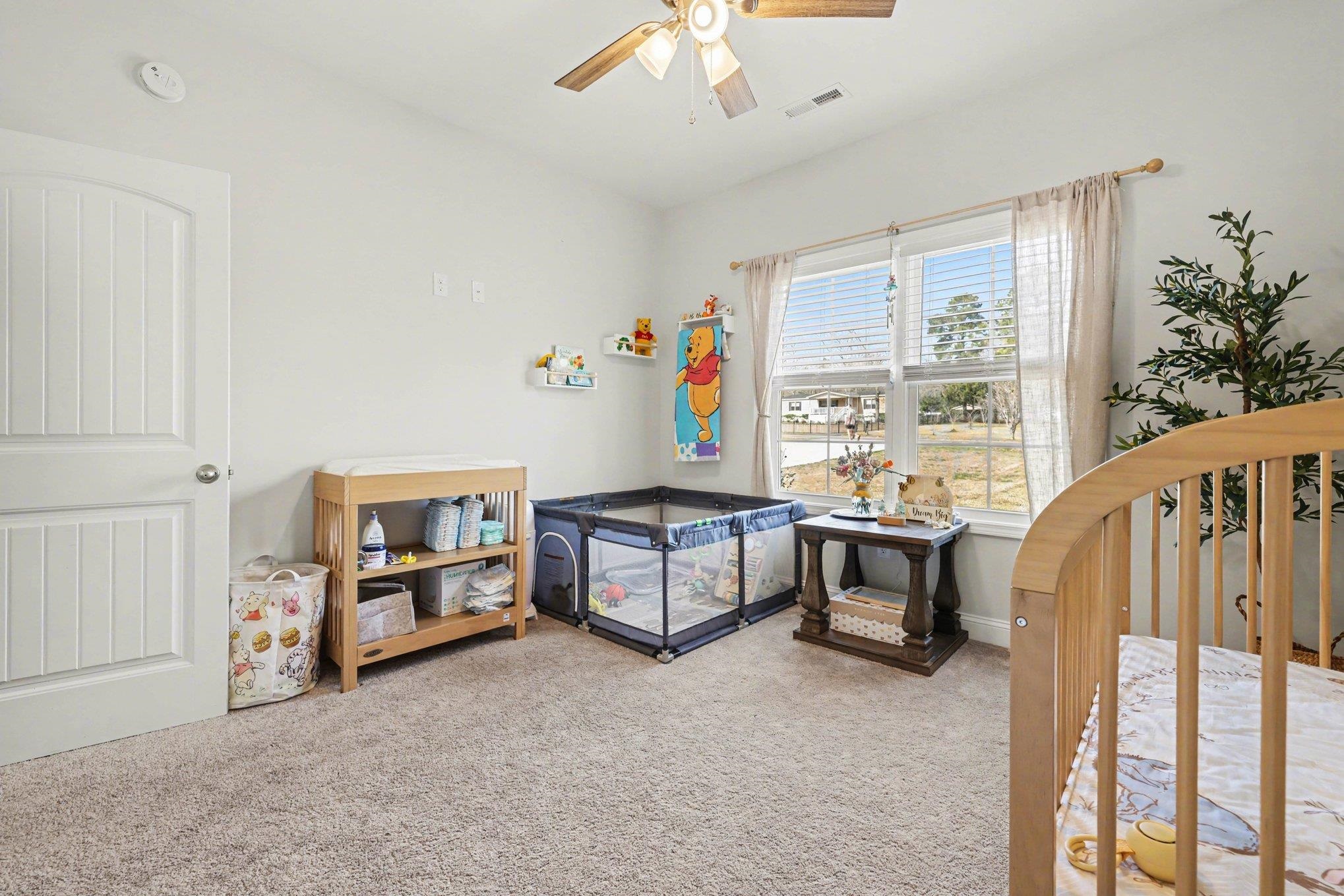 228 William Nobles Road Aynor, SC 29511 - Photo 25 of 34