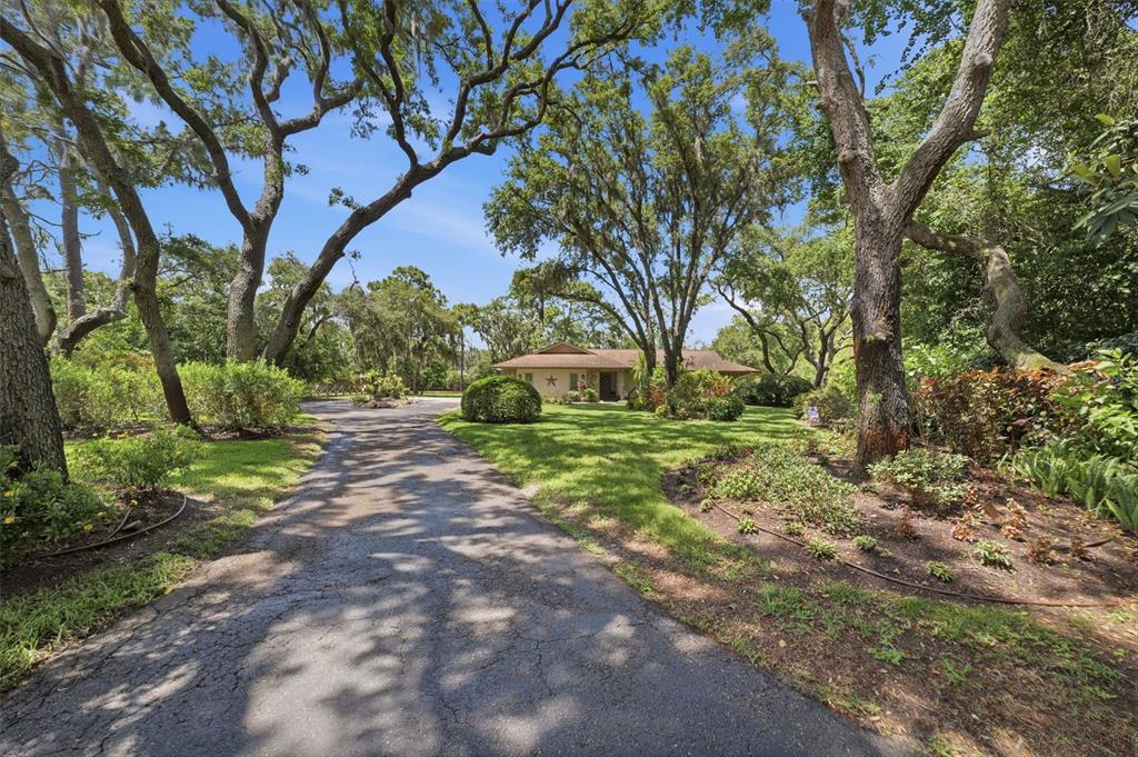 6403 Chiswick Court New Port Richey, FL 34655 - Photo 3 of 86