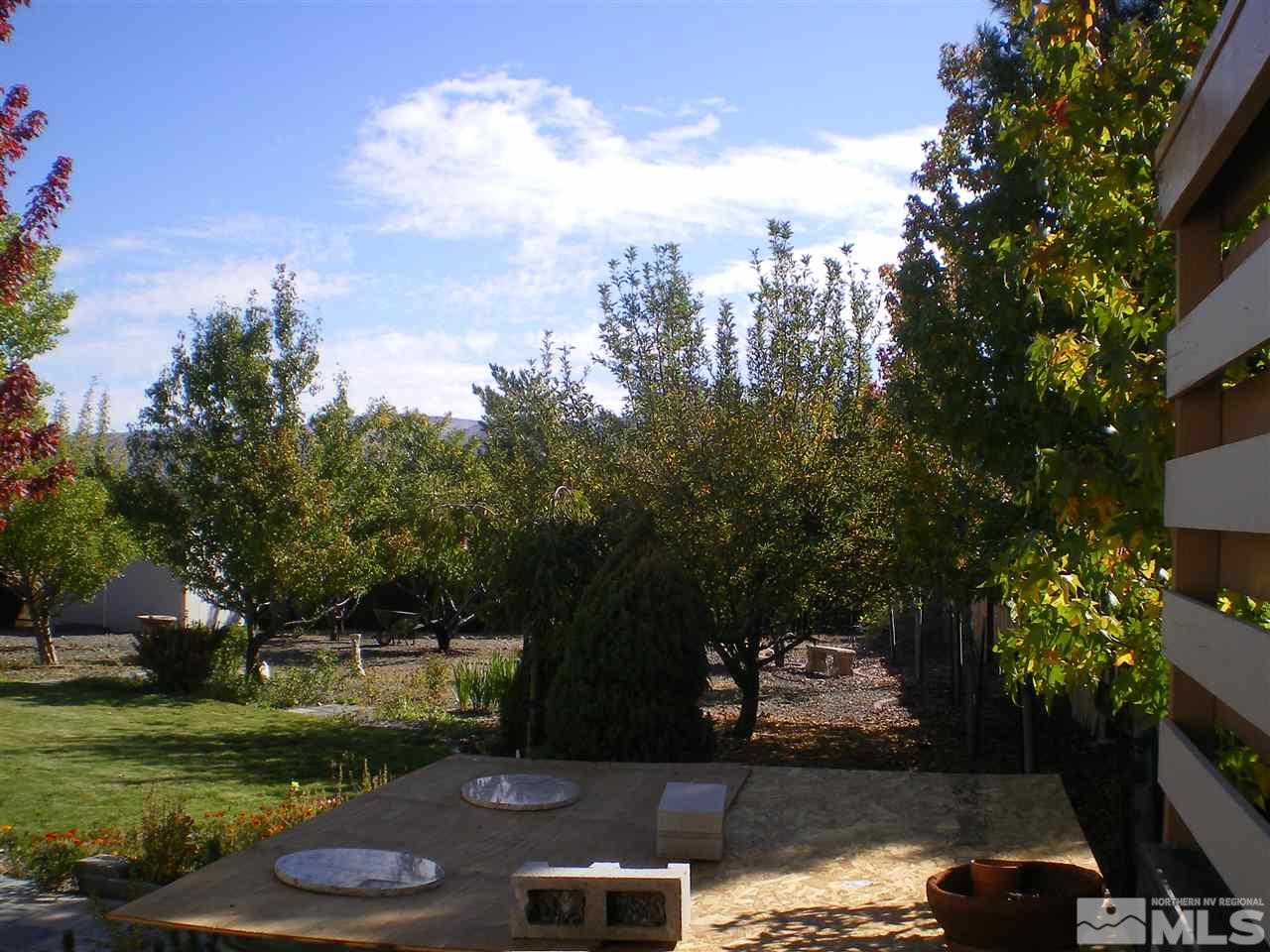 370 Flanders Road Reno, NV 89511 - Photo 5 of 25 a view of a street with a large trees