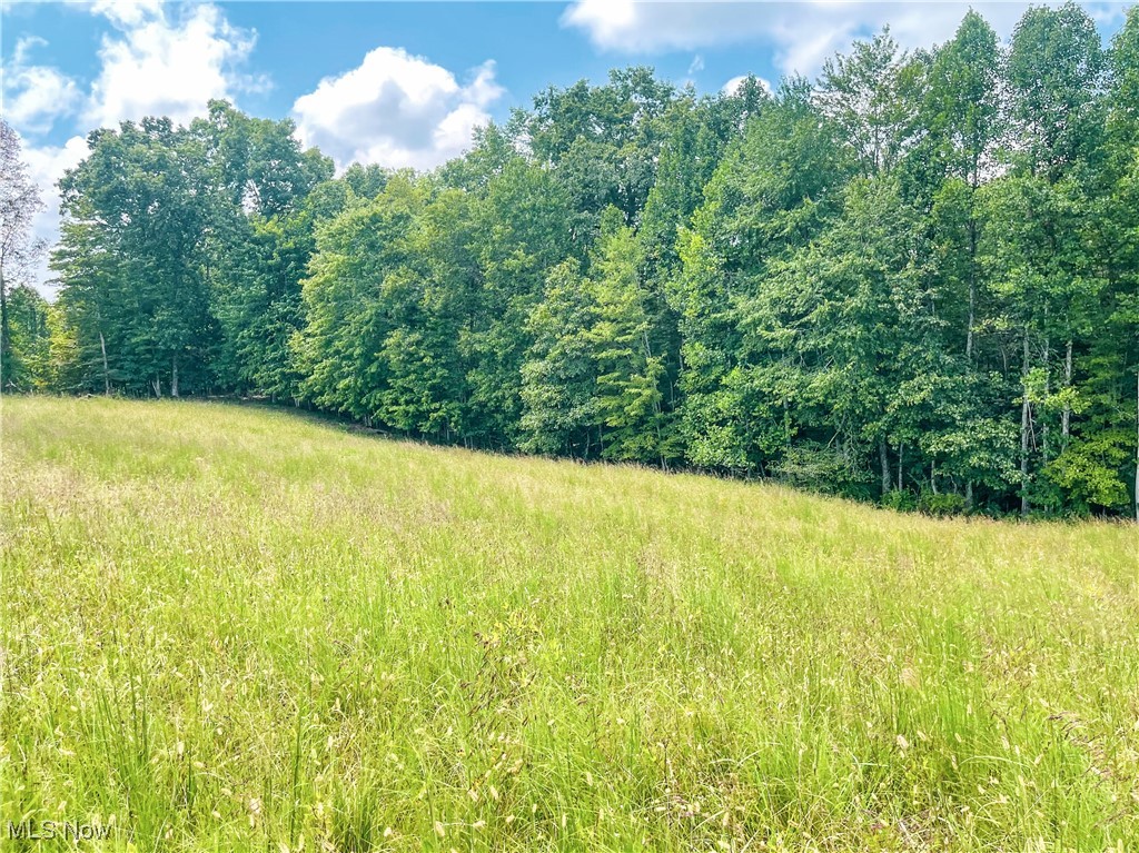 226 Banner Hill Road Spencer, WV 25276 - Photo 8 of 35