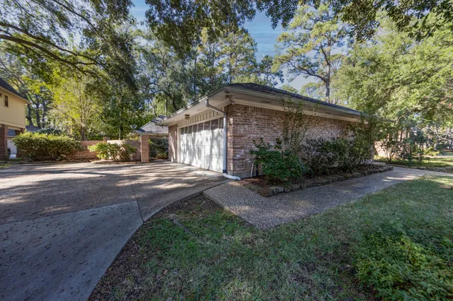 a view of a yard with plants and large trees