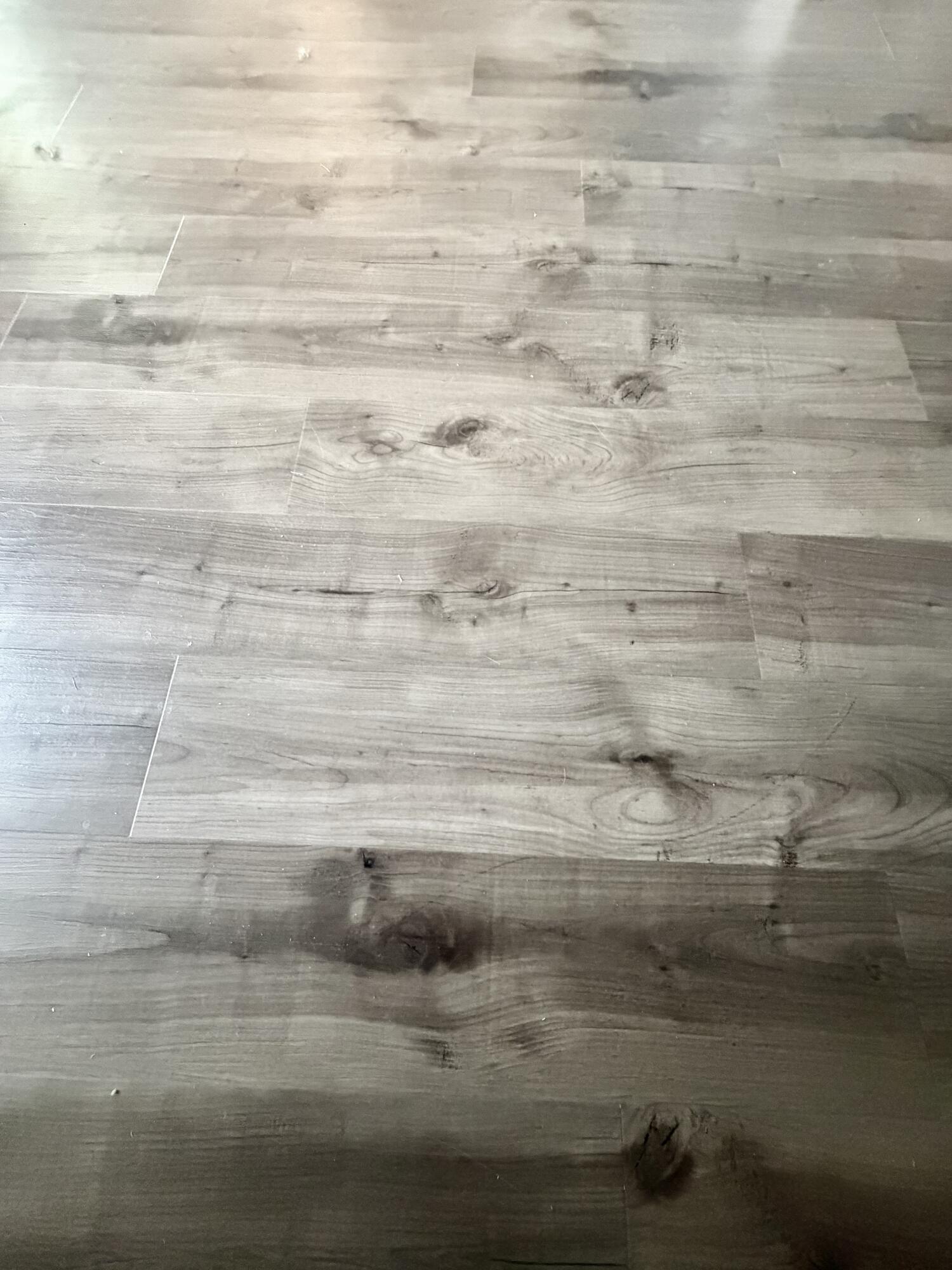 122 Eagle Ridge Road Brewer, ME 04412 - Photo 38 of 74 Laminate Flooring