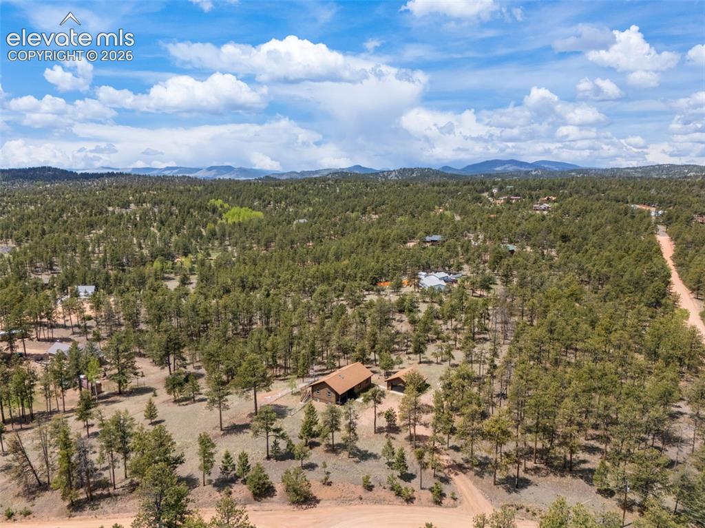 187 Thunder Ridge Road Florissant, CO 80816 - Photo 42 of 46