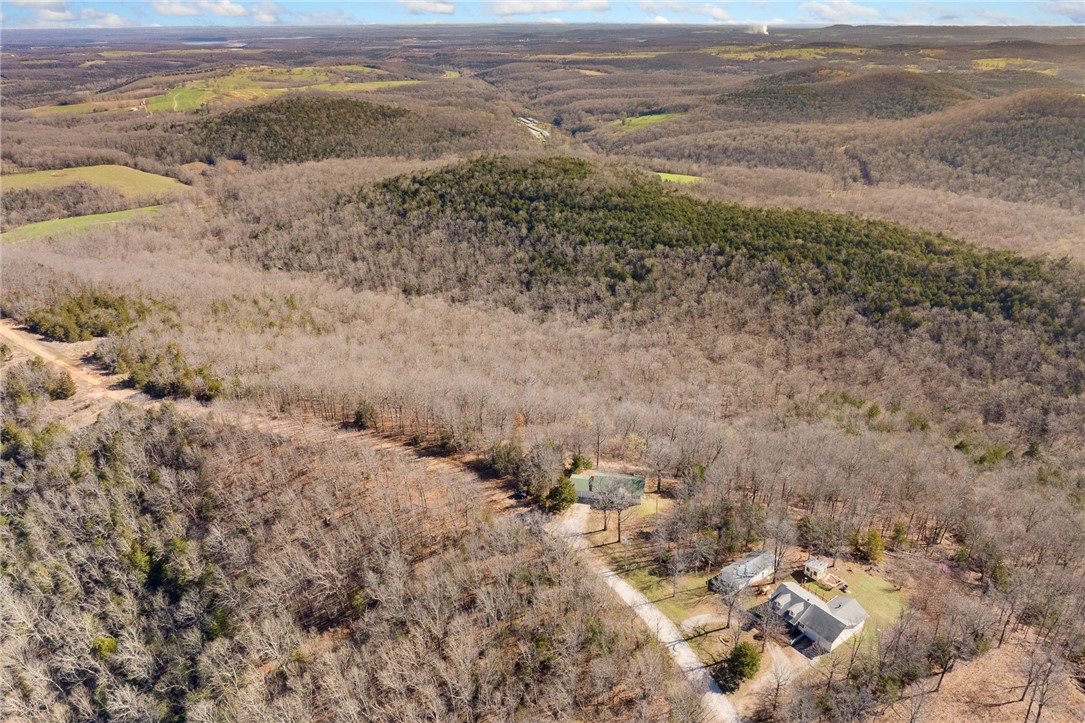 10974 Ricks Drive Harrison, AR 72601 - Photo 45 of 59 Bird's eye view of a forest