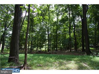 P/o4820 Anderson Road Doylestown, PA 18902 - Photo 6 of 12 Gallery Image 6