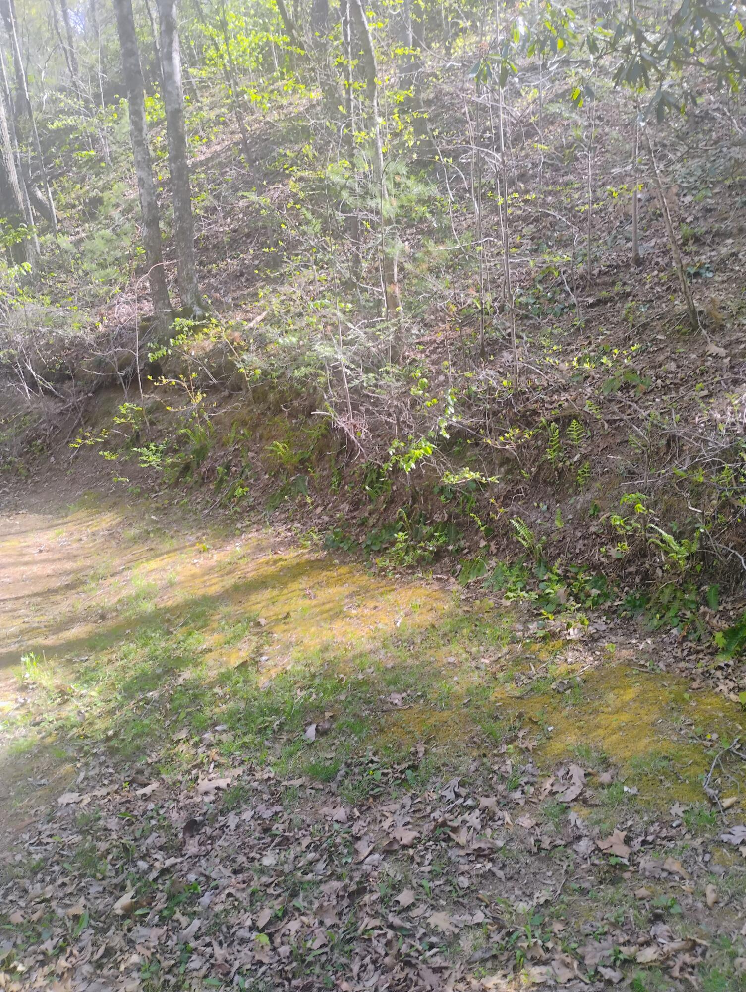425 Miller Cove Road Catawba, VA 24070 - Photo 8 of 19 1000000400