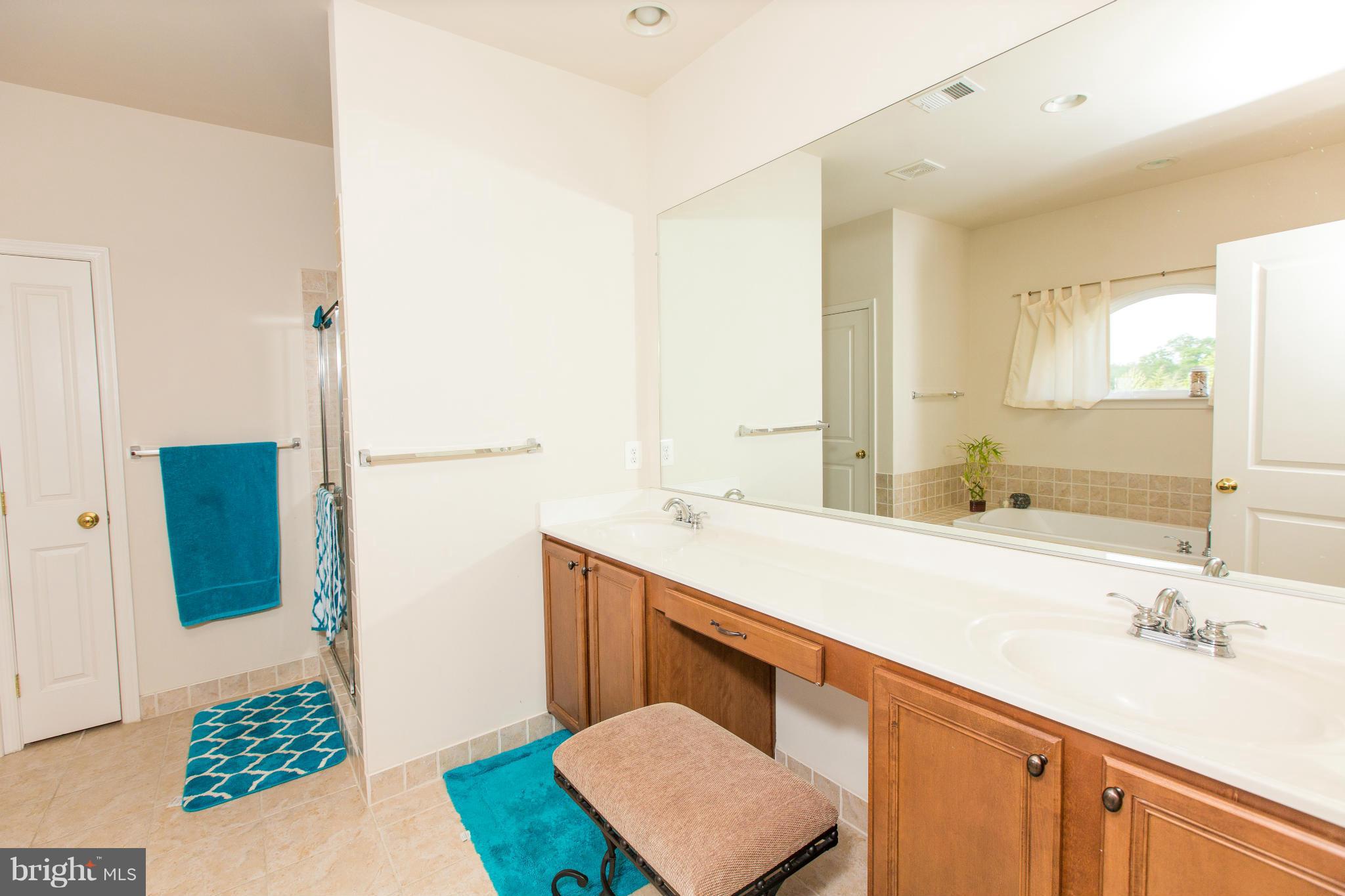 12403 Rochester Park Court Bristow, VA 20136 - Photo 27 of 30 a bathroom with a sink a mirror and a shower