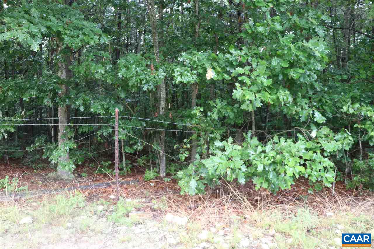 1 This Way Locust Grove, VA 22508 - Photo 4 of 5 Gallery Image 4