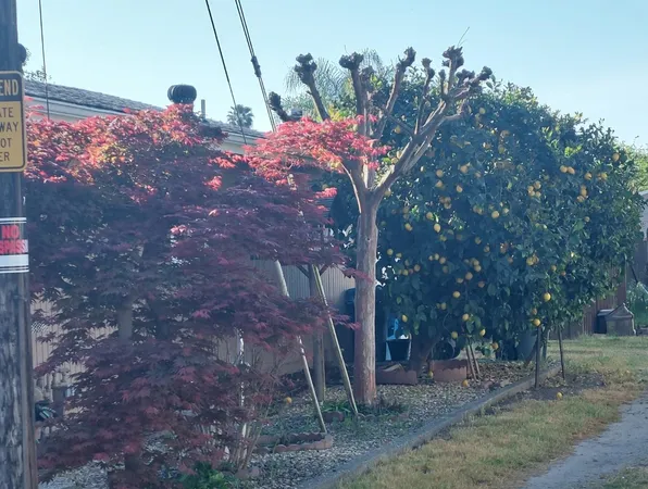$320,000 | 2798 Fir Street, Live Oak, CA 95953
