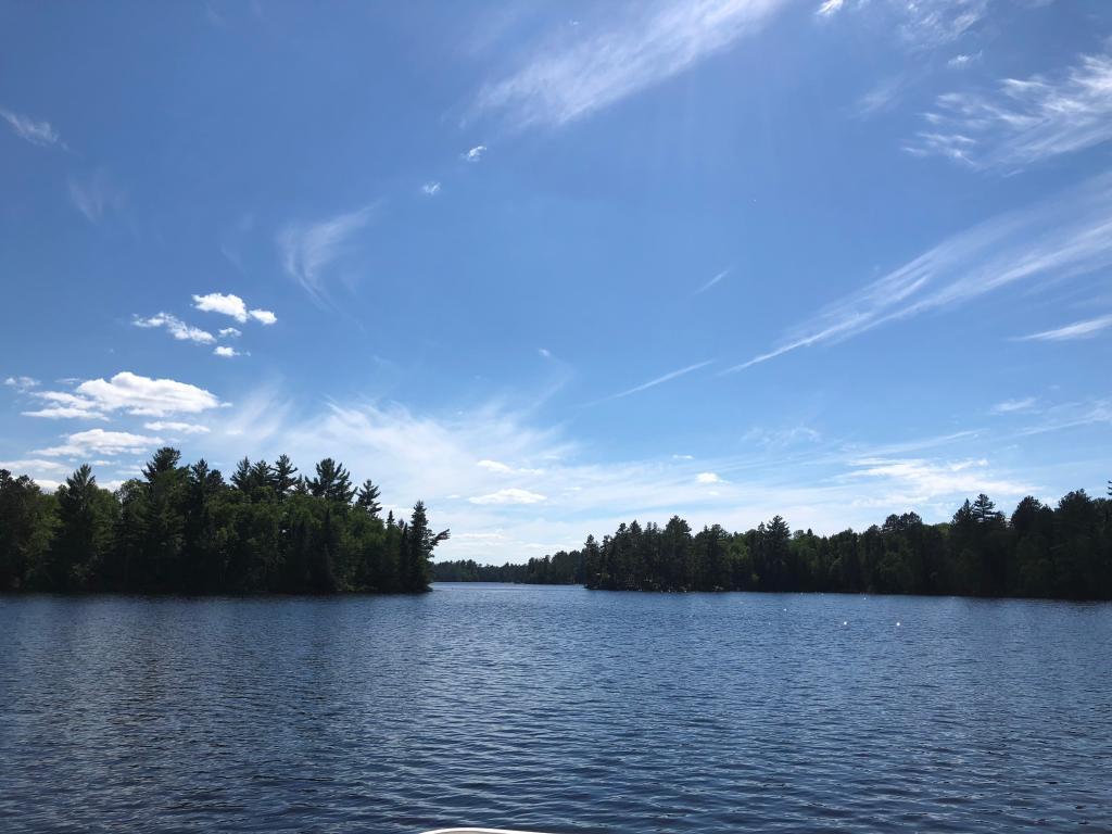 Xxx Elbow Lake Road Orr, MN 55771 - Photo 1 of 1 Gallery Image 1