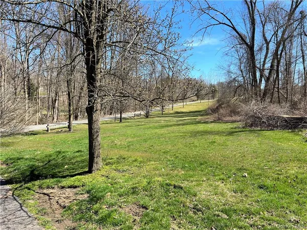 a view of a trees with a yard