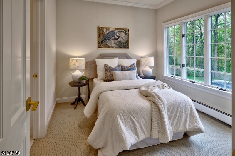 9 Green Hill Road Chester, NJ 07930 - Photo 18 of 47