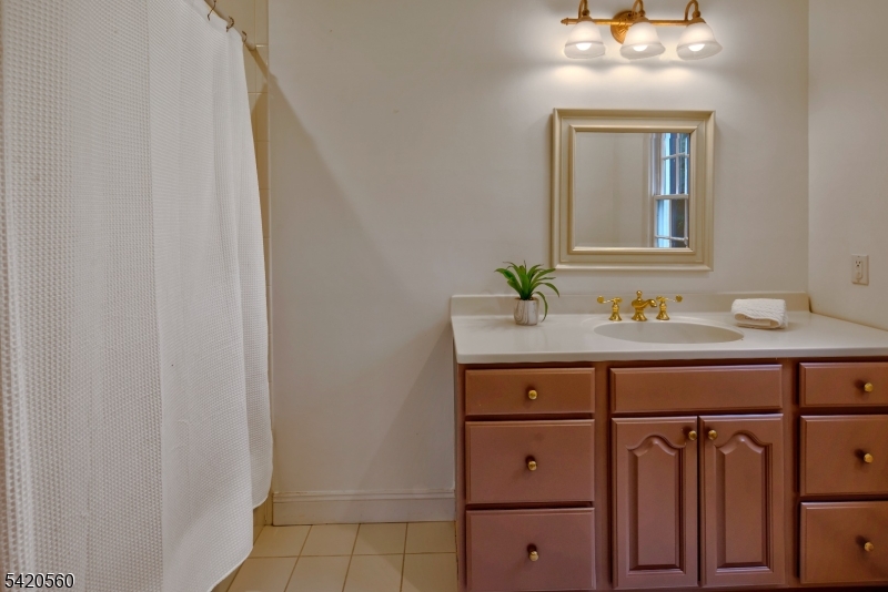9 Green Hill Road Chester, NJ 07930 - Photo 19 of 47