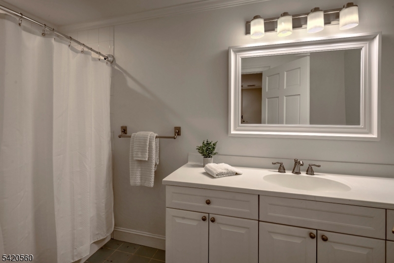 9 Green Hill Road Chester, NJ 07930 - Photo 27 of 47