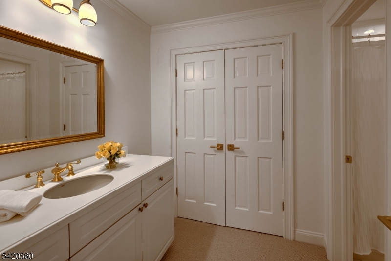 9 Green Hill Road Chester, NJ 07930 - Photo 31 of 47