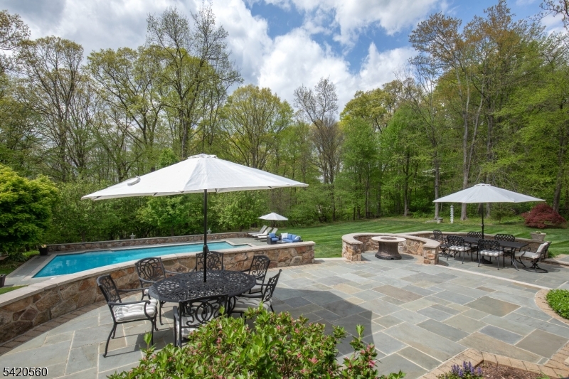 9 Green Hill Road Chester, NJ 07930 - Photo 39 of 47
