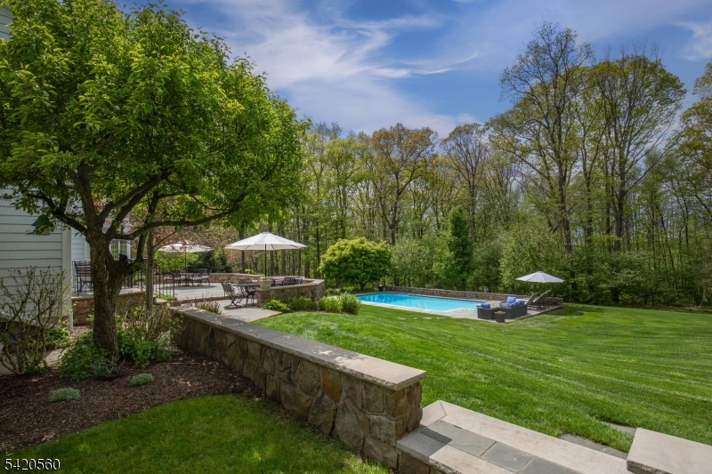 9 Green Hill Road Chester, NJ 07930 - Photo 41 of 47