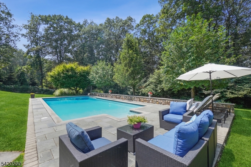 9 Green Hill Road Chester, NJ 07930 - Photo 46 of 47