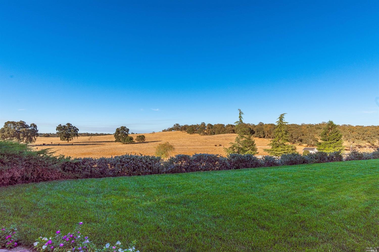 2001 Carbondale Road Ione, CA 95640 - Photo 31 of 38 Gallery Image 31