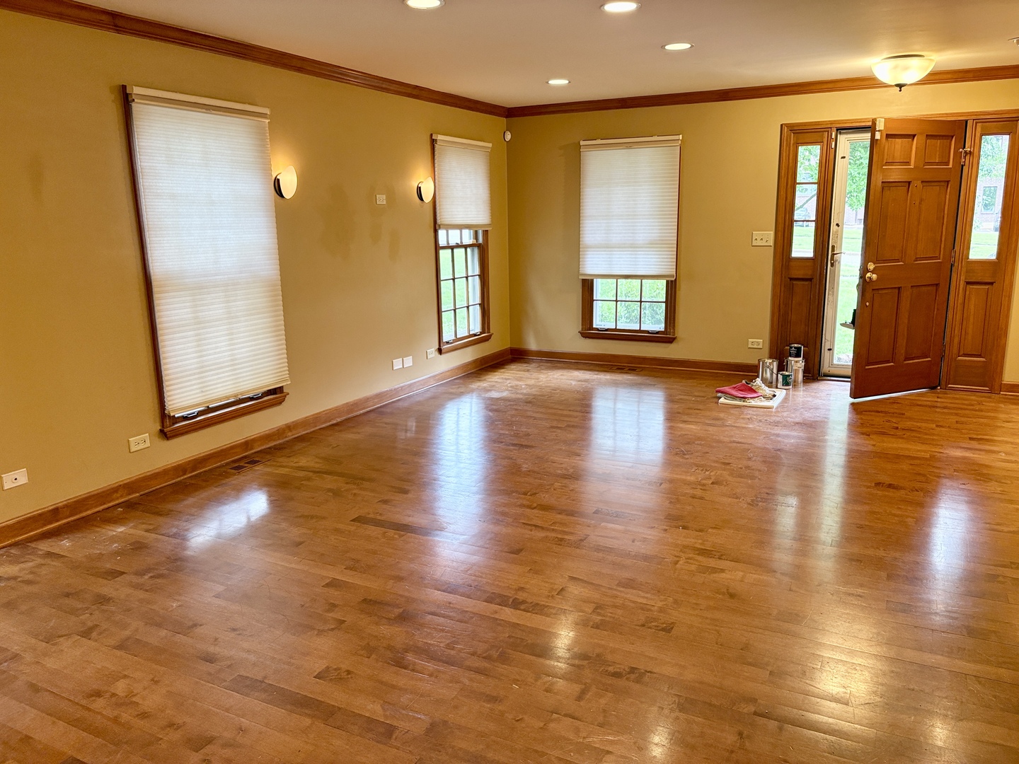 244 Knoll Street Wheaton, IL 60187 - Photo 3 of 26