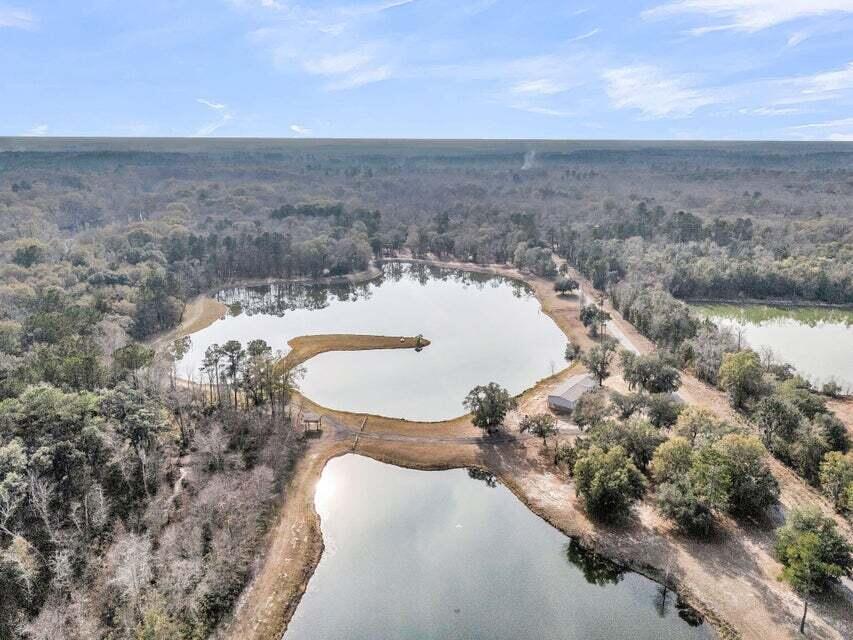 0 Pine Bluff Road Dorchester, SC 29437 - Photo 4 of 11