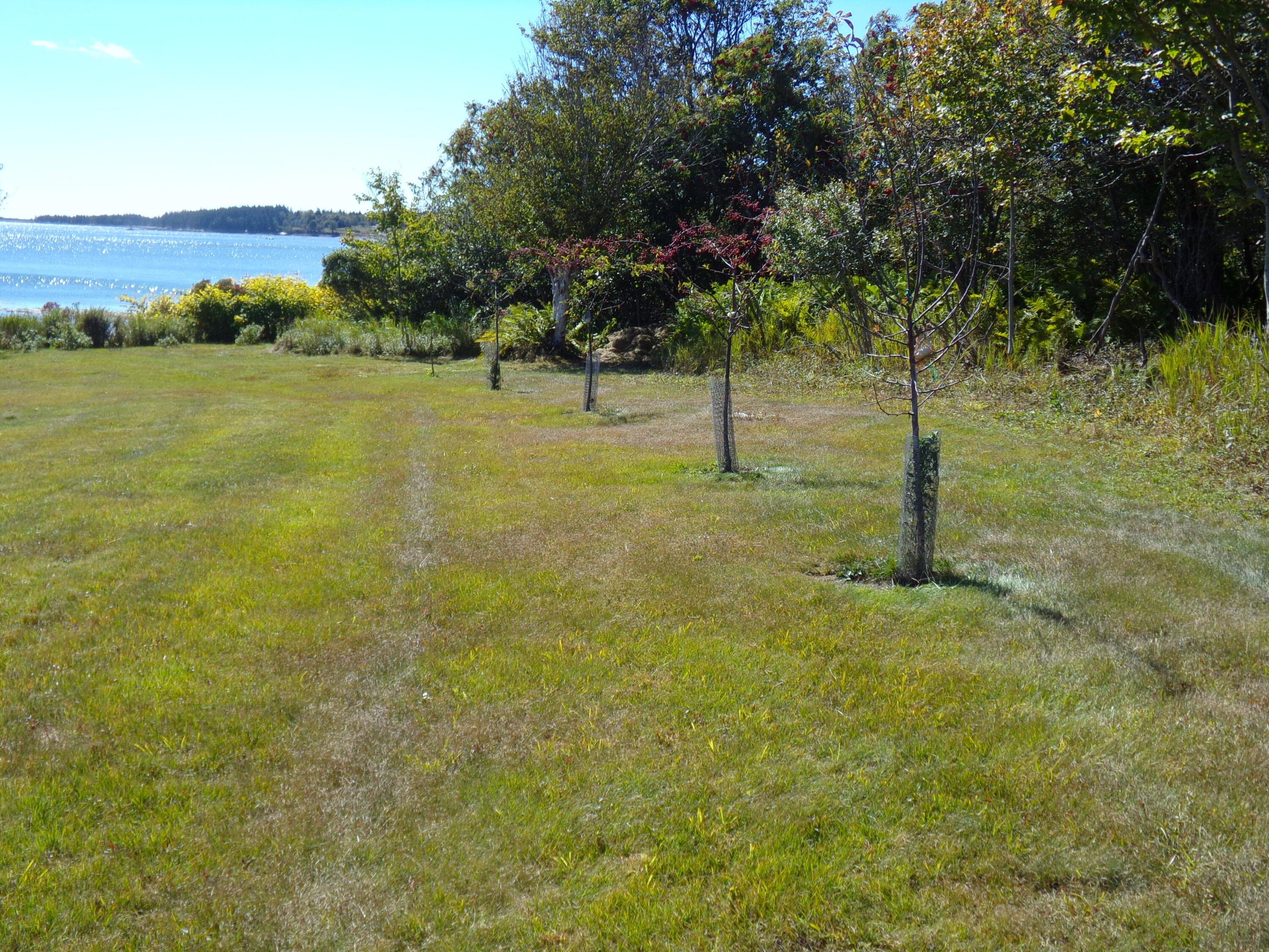 33 Chipman Point Road Steuben, ME 04680 - Photo 64 of 77 chipman.64