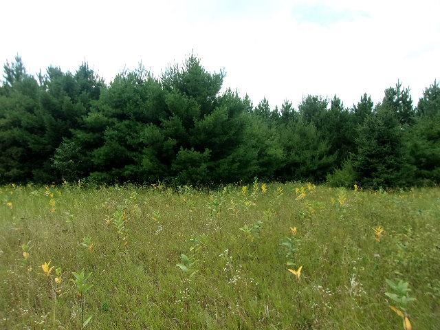 Lot 4 Allyn Road Mercer, WI 54547 - Photo 14 of 20 Gallery Image 14